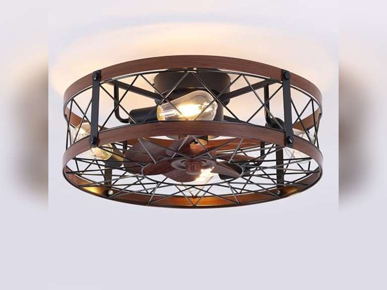 REDSTAR Retro Small Ceiling Fan with Light Remote Control, Ceiling Fans with Lights Flush-Mount, Low-Profile Ceiling Fan with Light, Caged Ceiling Fan with Light(see picture) 100