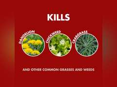 Spectracide Weed & Grass Killer3 (AccuShot Refill) (Pack of 3) 49