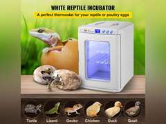 Happybuy Reptile Incubator 25L Scientific Lab Incubator Cooling and Heating 5-60 C 12V/110V Work for Small Reptiles (White) 232