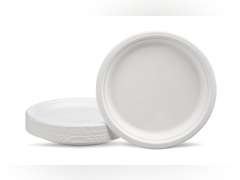 Amazon Basics Compostable Plates, 10-inch, 500-count 70