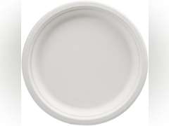 Amazon Basics Compostable Plates, 10-inch, 500-count 70