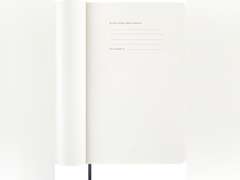 Moleskine Classic 12 Month 2026 Daily Planner, Soft Cover, Large (5" x 8.25"), Sapphire Blue, 400 pages 27