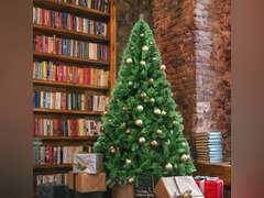MuRealy 6ft Artificial Christmas Tree - 800 PVC Tips Slim Space Saving for Home Office | Fire-Resistant & Quick Assembly 77