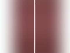 Lifetime Vinyl LL1S14X05500WN Standard Cathedral Top Center Mullion, Open Louver Vinyl Shutters, w/Installation Shutter-Lok's & Matching Screws (Per Pair), 14.5""W x 55""H, Wineberry 59