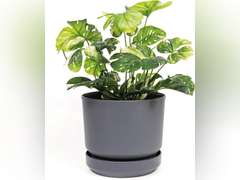Elly D cor 8 inch Plastic Cylinder Planter Pot with Self-Watering Saucer and Drainage Hole,Lightweight & Extremely Durable, 8"x 8", Gray 27