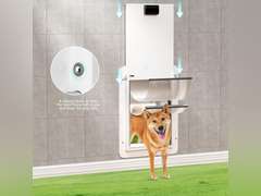 Double-Flap Dog Door for Doors and Wall, with Closing Panel and Lock, Doggy Door and Pet Door, Adjustable Passage, Suitable for Pets Up to 70 lbs.(Large Size) 84