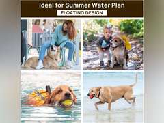 iPettie Summer Floating Dog Ball, Squeaky Water Fetch Toy, Waterproof Rubber Chew Ball, BPA Free, Colorful, 4 Sets, 2.5" 17