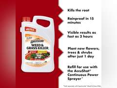 Spectracide Weed & Grass Killer3 (AccuShot Refill) (Pack of 3) 49