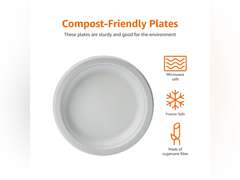 Amazon Basics Compostable Plates, 10-inch, 500-count 70
