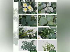 24 Inch Eucalyptus Wreath,Artificial Wreaths for Front Door, Year Round Greenery Wreath with Eucalyptus Boxwood Leaf Little Daisy Lambs Ear for Home,Outside Spring/Summer,All Seasons-Indoor/Outdoor 53