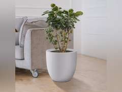 Kante Round Concrete Planter, Pure White, 10" W 28