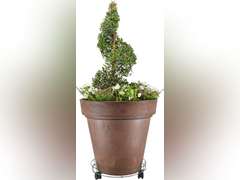 Arcadia Garden Products 1558 16" Basic Plant Caddy(2 pack) 26
