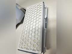 Miele HEPA AirClean SFHA50-2 Vacuum Filter, 12 Month Lifespan, With TimeStrip Filter Change Indicator - XL Pack For 2 Years of Clean Air 98