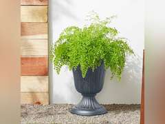 Arcadia Garden Products PL20GY 10" x 12" Traditional Plastic Urn, Medium, Grey 36