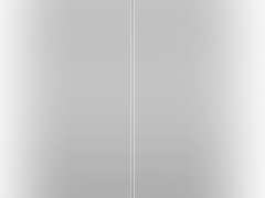 Ekena Millwork Lifetime Vinyl LP2S14X03900PG Standard Two Equal Panel Vinyls, Raised Panel Vinyl Shutters, w/Installation Shutter-Lok's & Matching Screws (Per Pair), 14 3/4"W x 39"H, Paintable 86