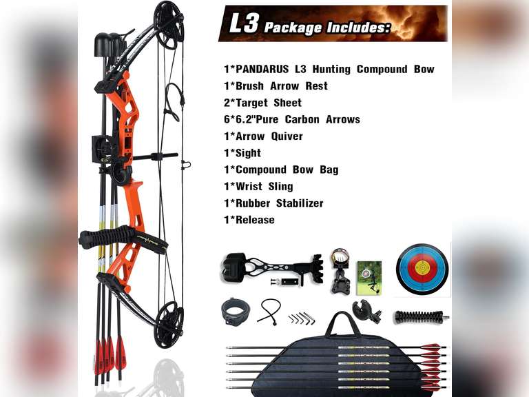 Compound Bow Set 10-40lbs for Pull Child Right Hand Lightweight Design Bow Adjustable 16"~28" Draw Length IBO 290fps New 2024 Professional Set for Youth&Kids 130