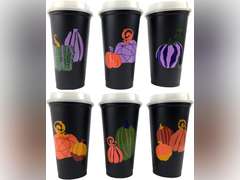 Starbucks Reusable Cup Collection Pack Of 6 W/Lids-2017 29