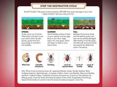 Scotts GrubEx1 Season Long Grub Killer - Kills and Prevents for Up to 4 Months, Treats 10,000 sq. Ft. (2-Pack) 79
