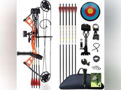 Compound Bow Set 10-40lbs for Pull Child Right Hand Lightweight Design Bow Adjustable 16"~28" Draw Length IBO 290fps New 2024 Professional Set for Youth&Kids 130