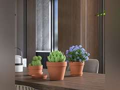 Fcacti Terra Cotta Pots with Drainage Hole - 8 Pack 4.6 Inch Clay Pot Ceramic Pottery Planter Cactus Flower Pots Succulent Pot, Great for indoorourdoor Plants, Crafts and Wedding Favor 23