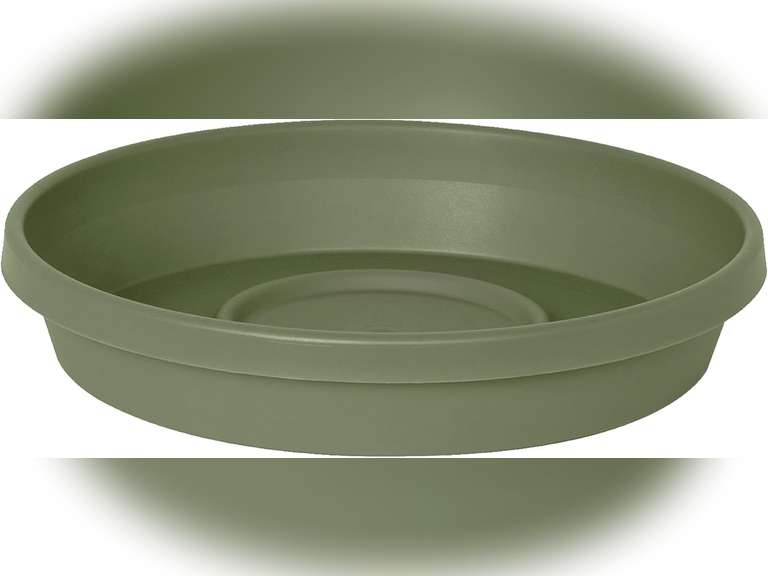 Bloem Terratray 2.7 in. H x 16 in. Dia. Resin Traditional Thyme Green Tray4 pcs 32
