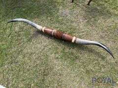 Longhorn Horns The Shocking Truth About Their Interior - 7bklmhc