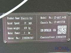 2024 Icon LT-A617.4+2G Electric Golf Cart