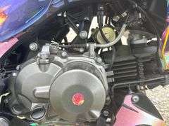 2022 Kawasaki Z125 Pro Motorcycle