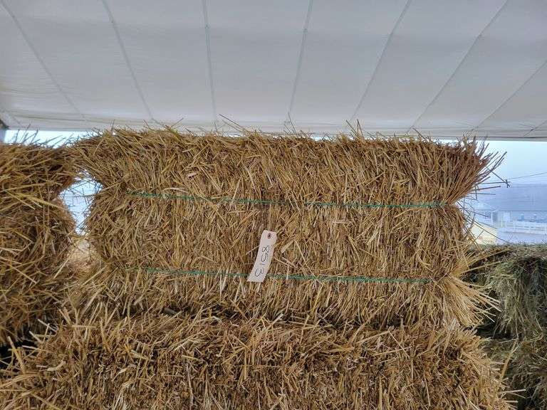 25 Wheat Straw
