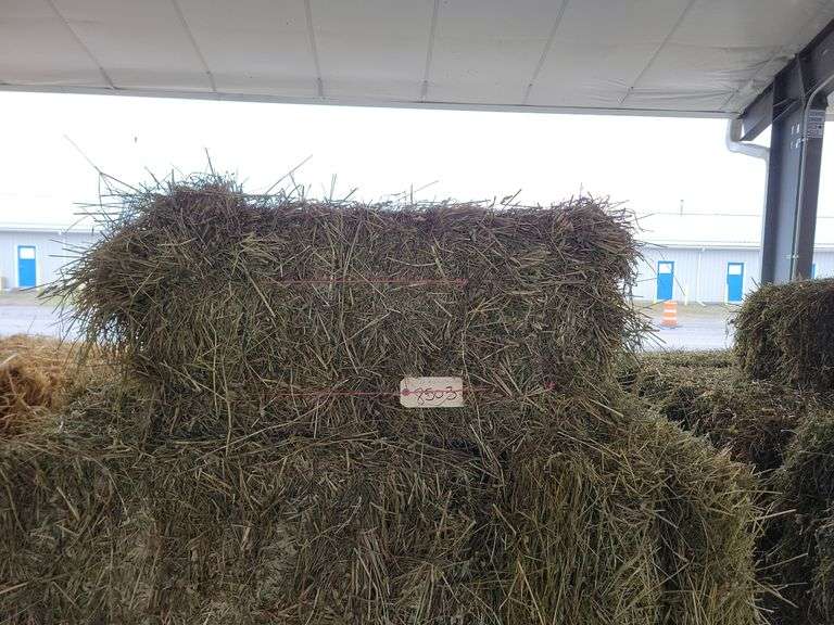 20 1st Orchard Mix - Floor Bales