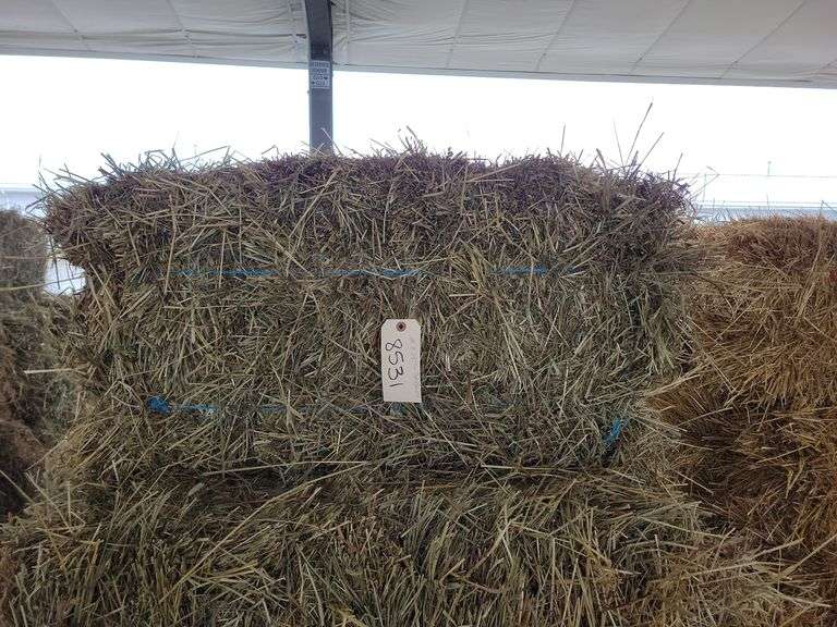 20 1st Alfalfa Timothy Orchard Grass