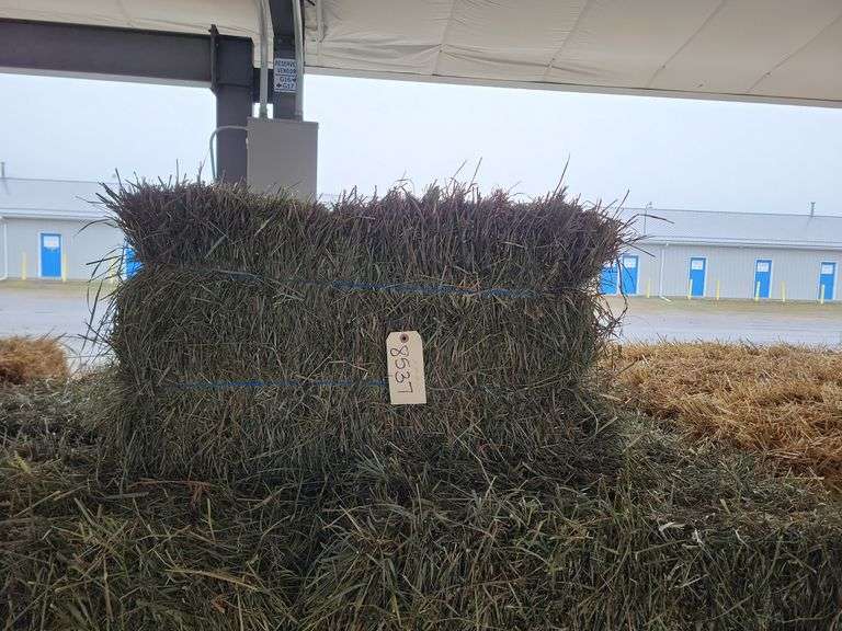 25 2nd Alfalfa Mix