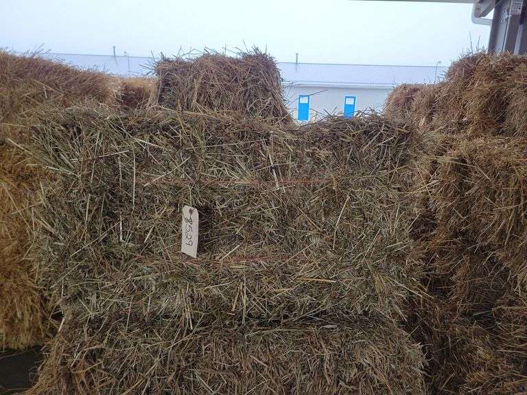 22 1st Alfalfa Timothy Orchard Grass