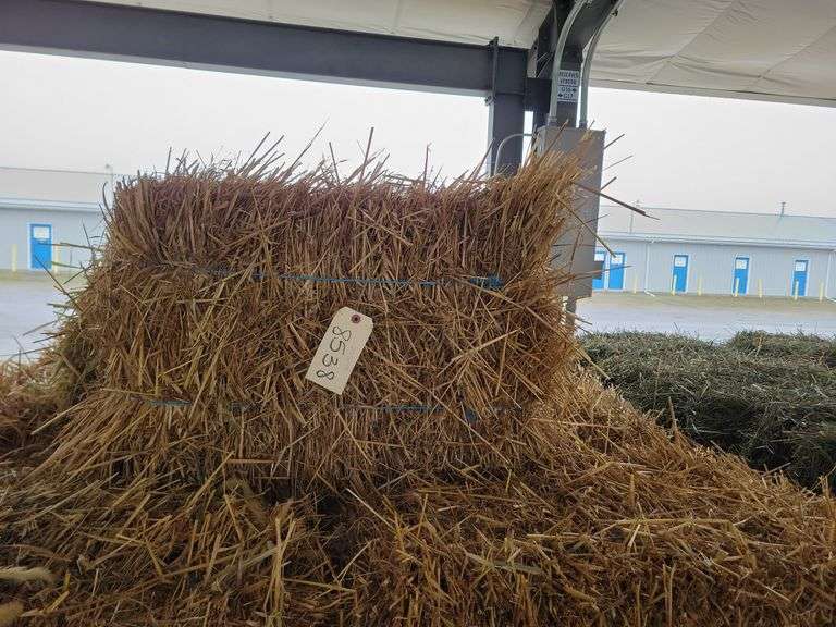 27 Oat Straw