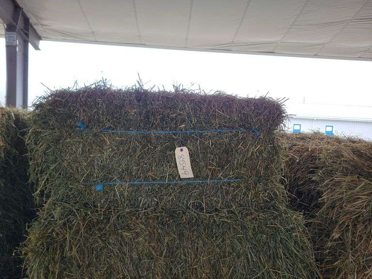 20 4th Alfalfa Timothy Orchard Grass