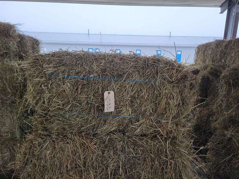 20 1st Alfalfa Timothy Orchard Grass