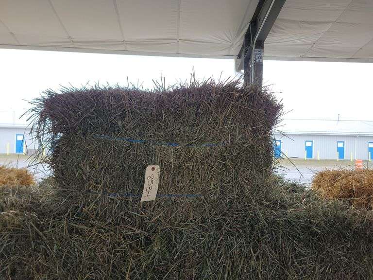 23 2nd Alfalfa Mix