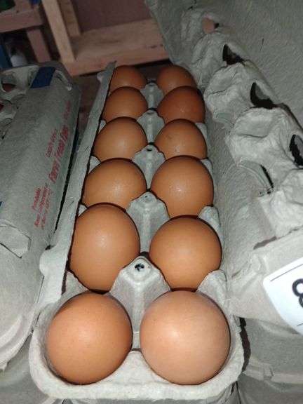 4 Doz Large Brown Eating Eggs