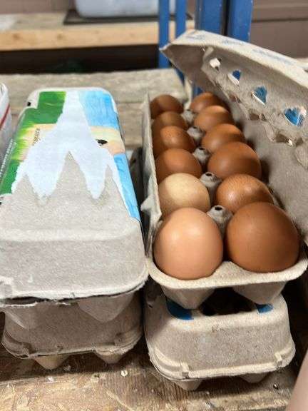 4 Doz Lg Brown Eating Eggs