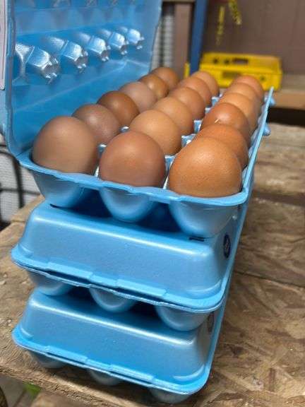 4.5 Doz XXLG Brown Eating Eggs