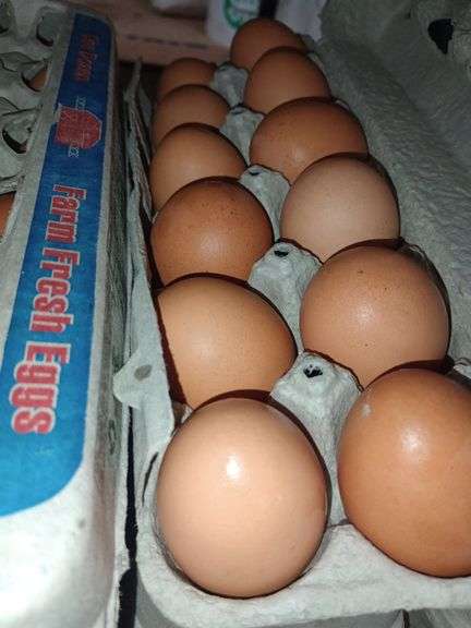 4 Doz Large Brown Eating Eggs