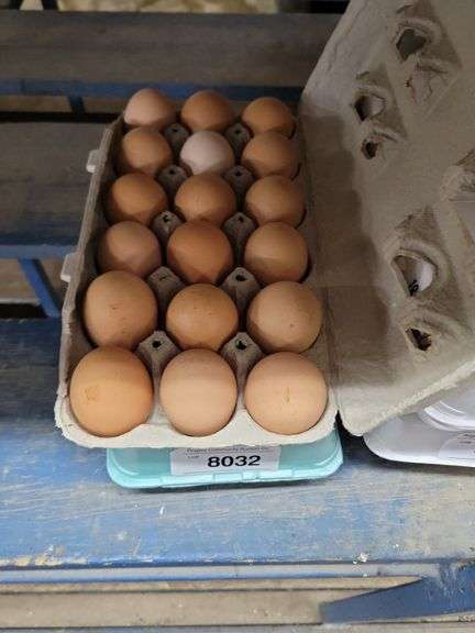 3 Doz Brown Eating Eggs