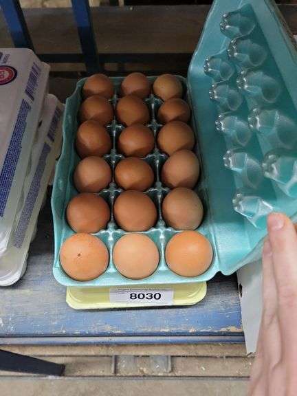 3 Doz Brown Eating Eggs