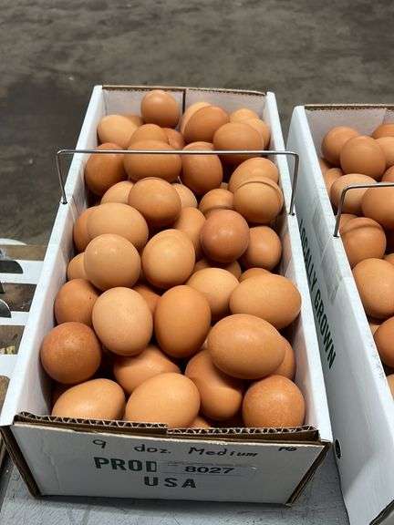 9 Doz MED Brown Eating Eggs