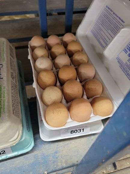 3 Doz Brown Eating Eggs