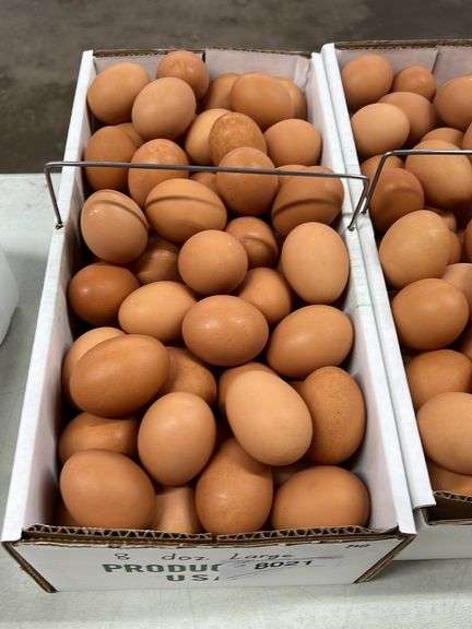 8 Doz LG Brown Eating Eggs