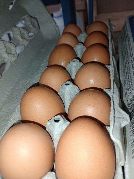 4 Doz Large Brown Eating Eggs