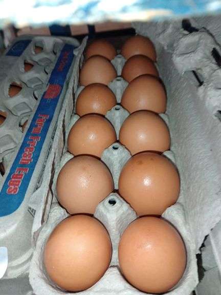 4 Doz Large Brown Eating Eggs