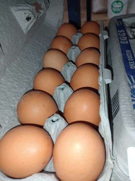 4 Doz Large Brown Eating Eggs