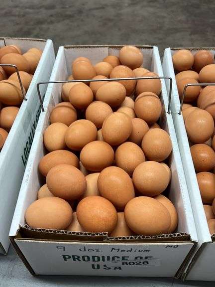 9 Doz MED Brown Eating Eggs
